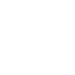 bison coolers (1)
