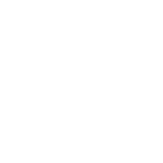 ping (1)