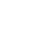 puma (1)